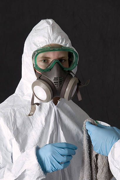 Professional Mold Removal in Coats, NC